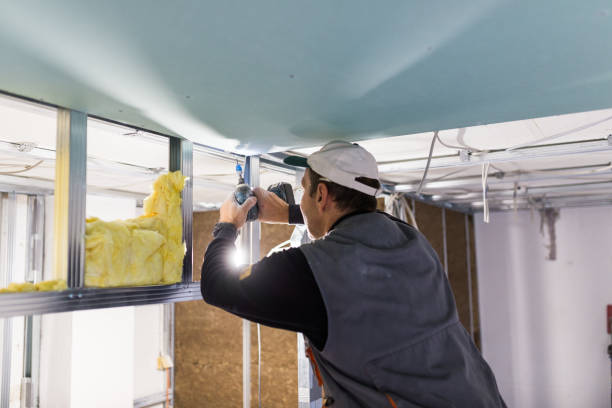 Best Insulation Maintenance and Repair in New Carlisle, OH